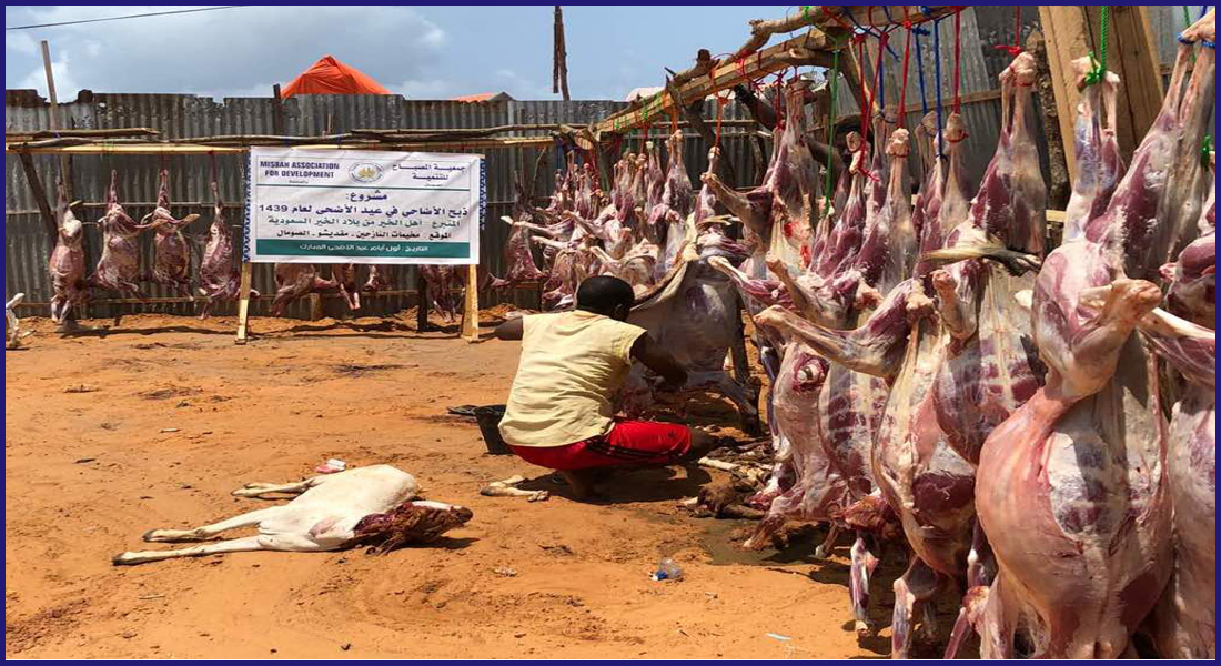 مشروع أضاحي للعام 1439 هـ